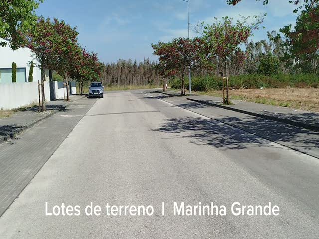 No Flash found